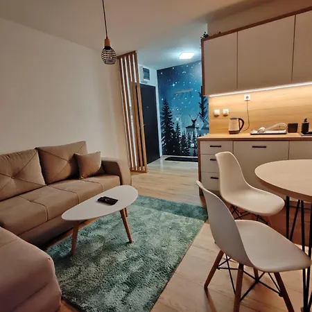 Apartment Mons *